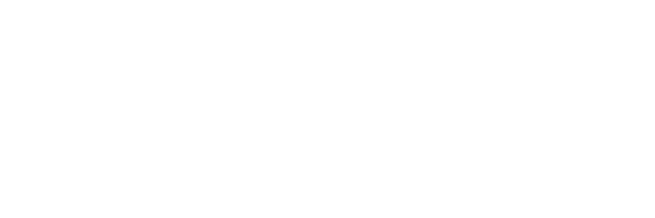 Academy Painters logo
